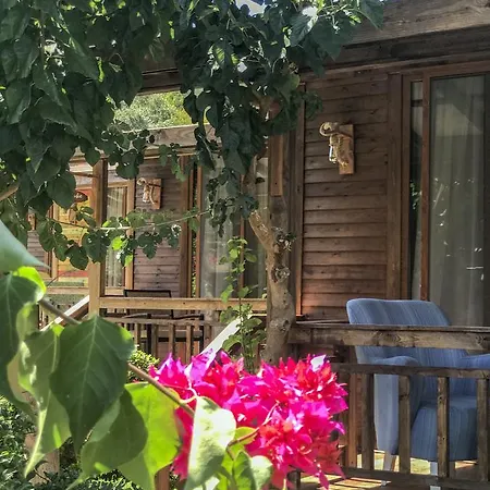 Giritimu Evleri Selimiye (Aegean)