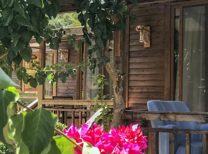 Giritimu Evleri Selimiye (Aegean)